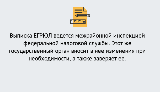 Почему нужно обратиться к нам? Кондопога Выписка ЕГРЮЛ в Кондопога ?