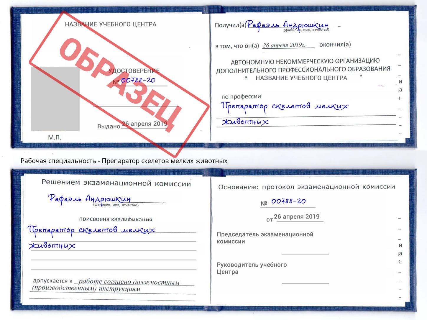 Препаратор скелетов мелких животных Кондопога