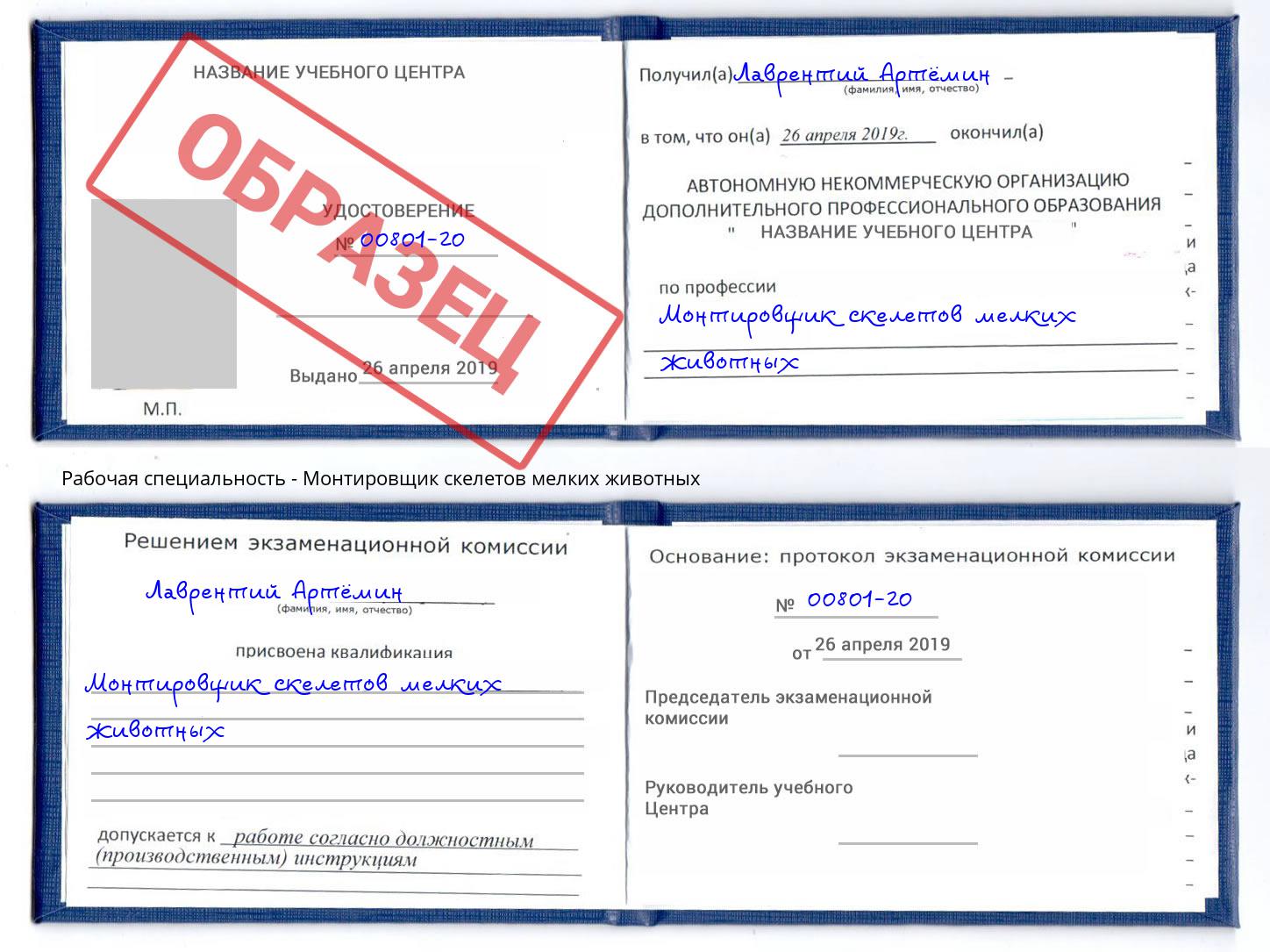 Монтировщик скелетов мелких животных Кондопога
