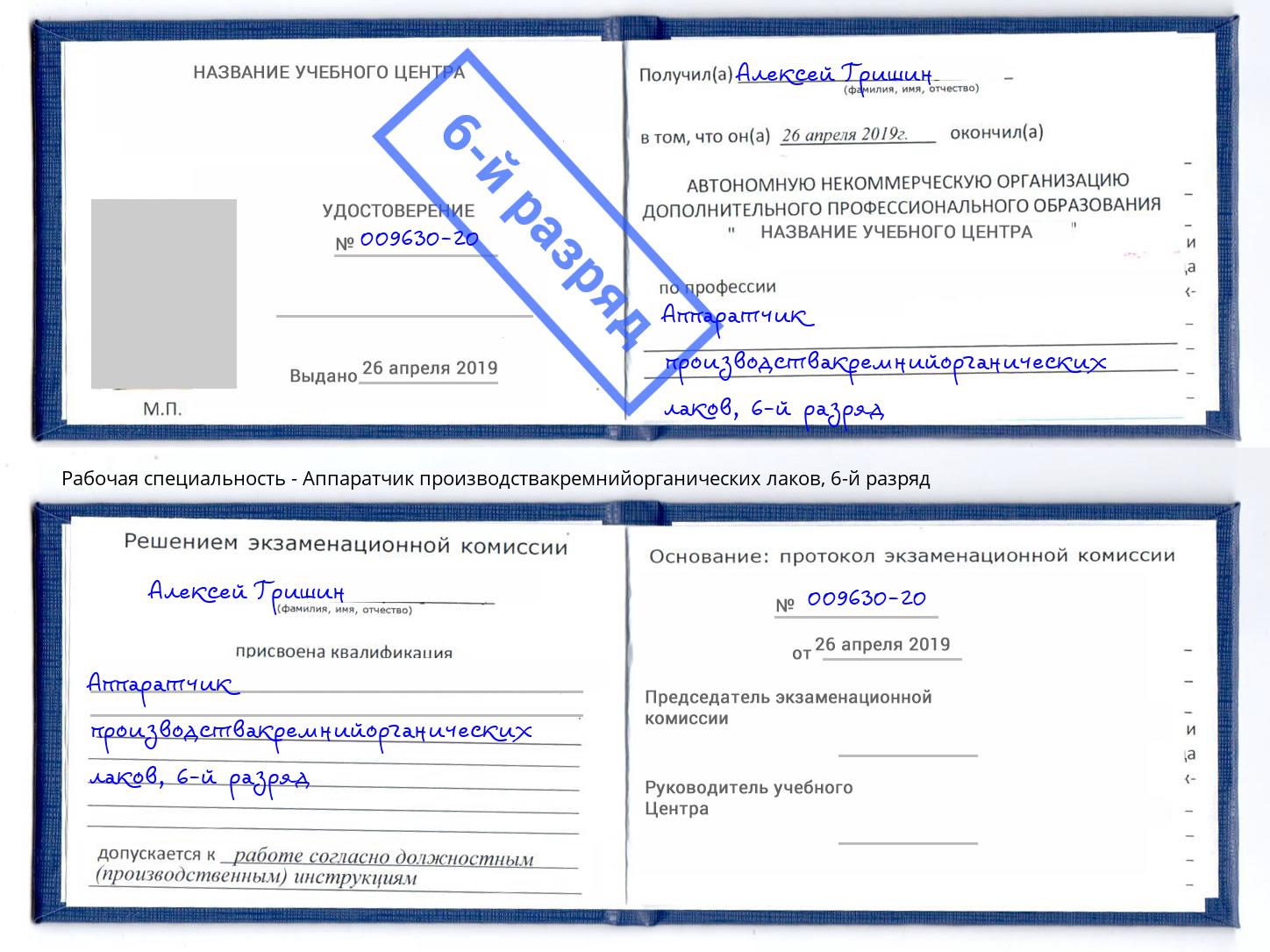 корочка 6-й разряд Аппаратчик производствакремнийорганических лаков Кондопога