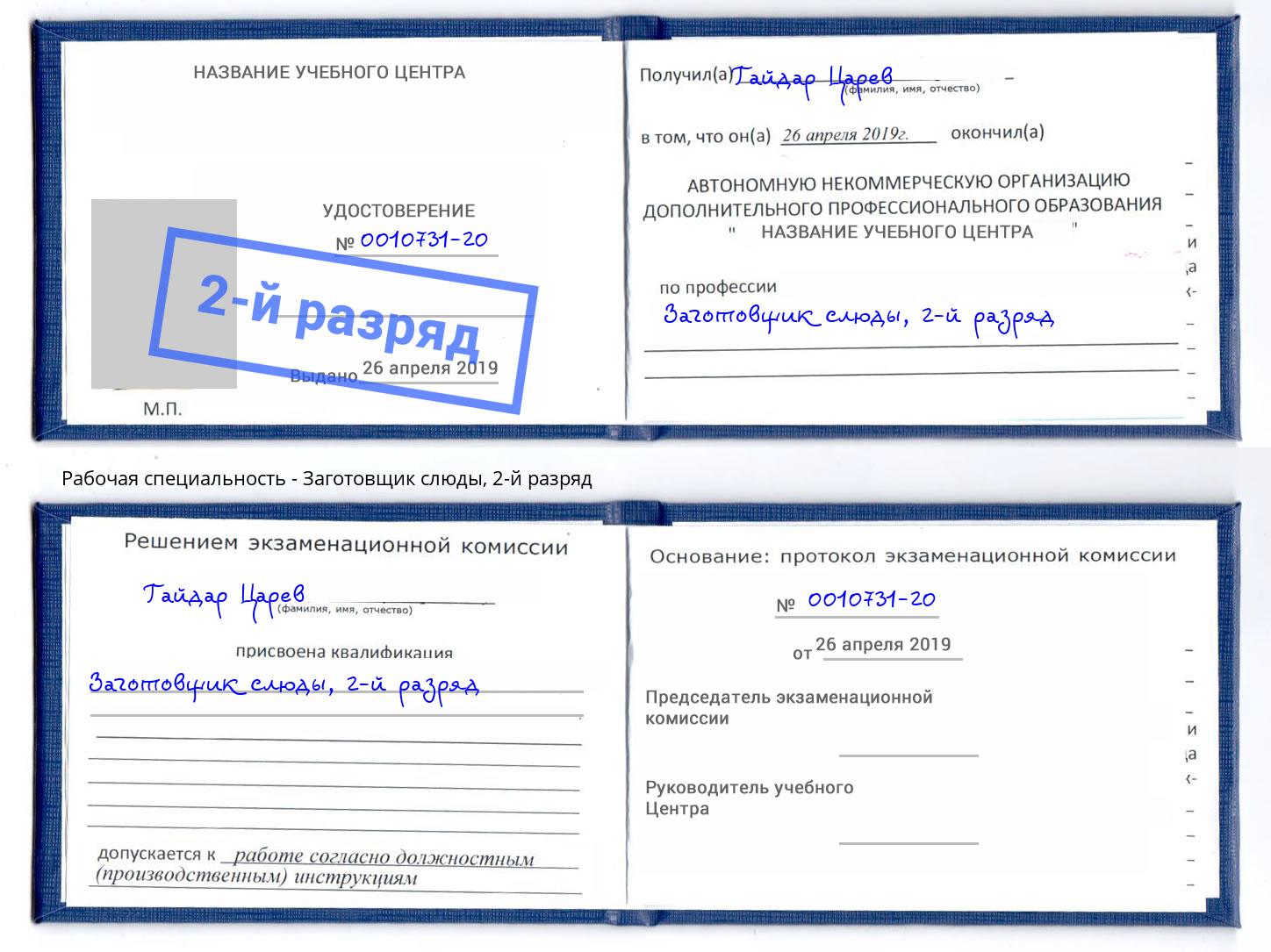 корочка 2-й разряд Заготовщик слюды Кондопога